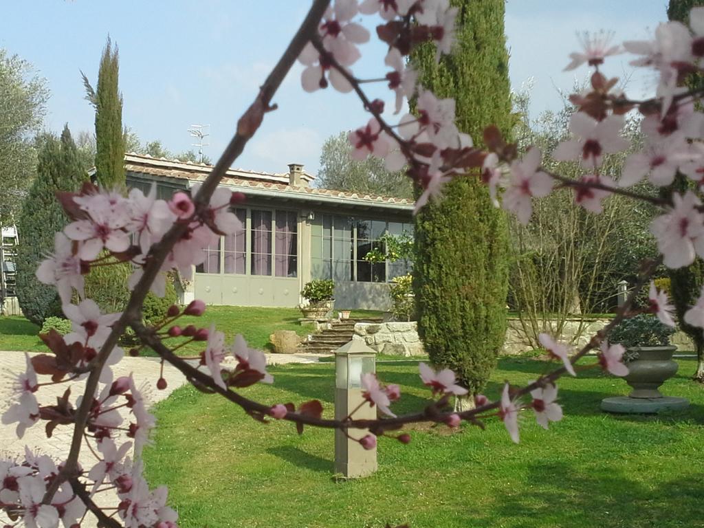 Residenza Teodorico Re B&B Viterbo Exterior photo