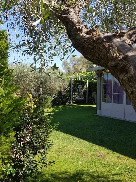 Residenza Teodorico Re B&B Viterbo Exterior photo